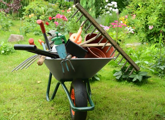 Entretien de Jardin Albi